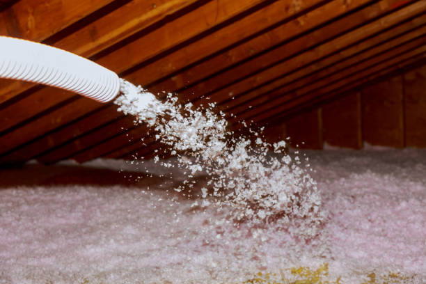 Best Eco-Friendly Insulation in Ridgefield, WA
