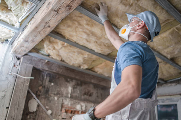 Best Commercial Insulation in Ridgefield, WA
