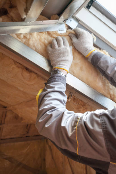 Best Specialized Insulation Services in Ridgefield, WA